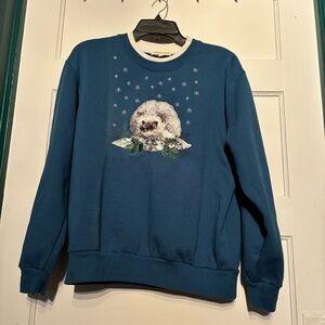 Blue/Teal Sweatshirt with Christmas Hedgehog Design**